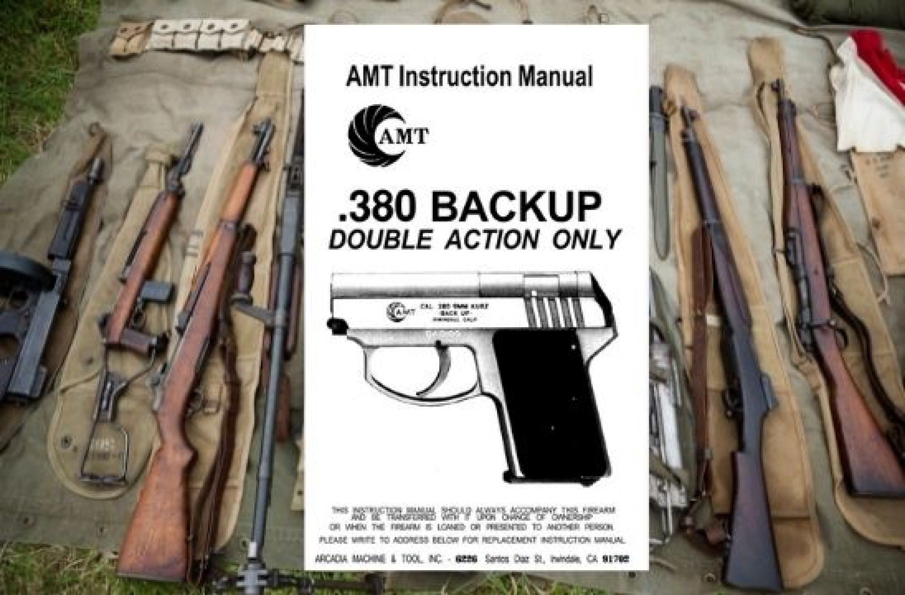 AMT 380 Back Up Pistol